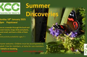 KCC event Summer Discoveries