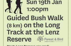 Lenz walk