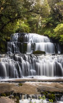 Official website for the Catlins, New Zealand